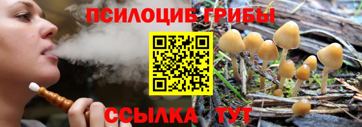 Псилоцибиновые грибы MAGIC MUSHROOMS  Вход с VPN  Полевской 